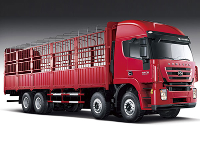 贝斯特全球最奢游8x4三级运货卡车